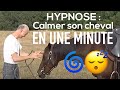 Hypnose  calmer son cheval en une minute