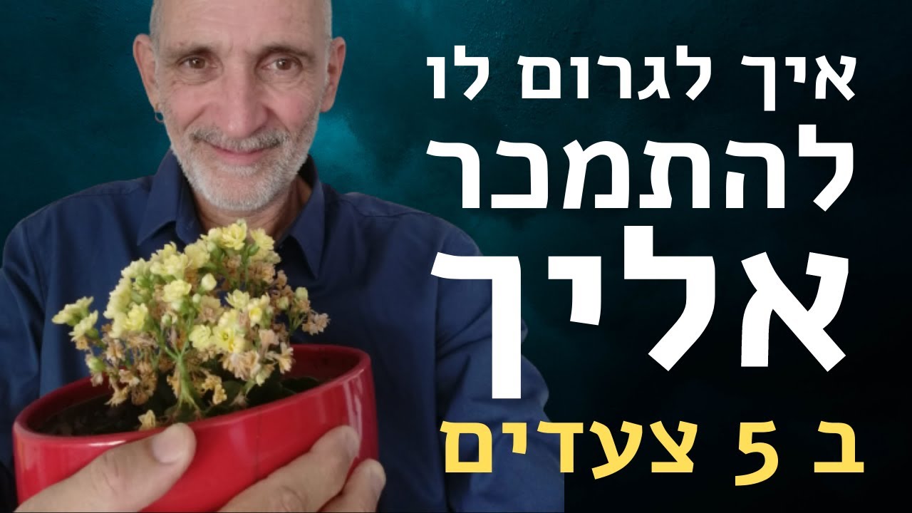 איך לגרום לו לרדוף אחריך ב 5 צעדים?