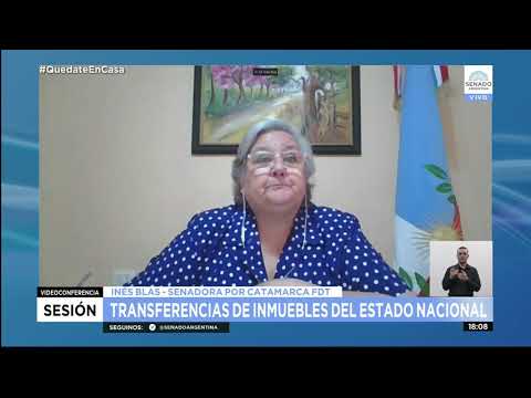 SDORA. INÉS BLAS 02 - SESIÓN ESPECIAL 05-11-20