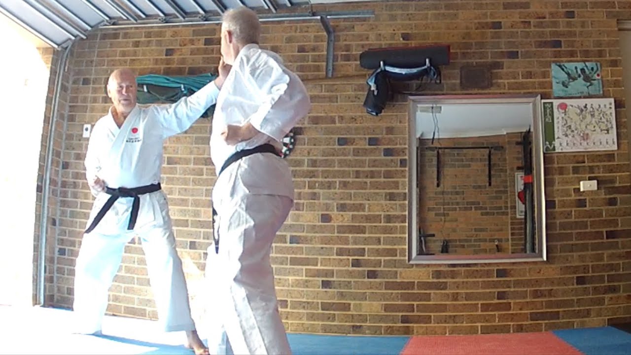 stan schmidt starting martial arts