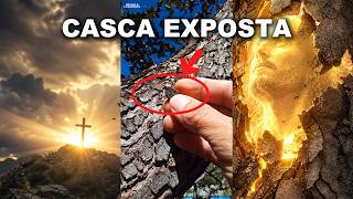 CASCA EXPOSTA