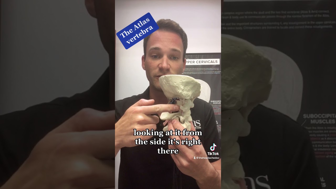 The Atlas vertebra (C1) 🧠 #shorts #migraine #headache #spine #atlas #nervoussystem
