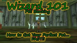 Wizard101: The Pet Bank - How to get the Perfect Pet for you - Fast!