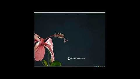 Mandriva Lx Install in Virtual Box Milton