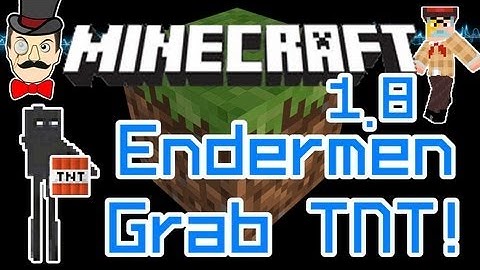 Minecraft 1.8 ENDERMEN Pick Up TNT BLOCKS! Enderman Grabs Your Blocks!