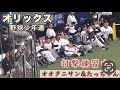 『野球少年のように見つめるオリックスの選手達』オオタニサン&たっちゃんによるフリー打撃中 侍ジャパンvsオリックスバファローズ 2023年3月7日