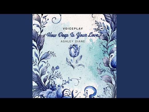 Putar How Deep Is Your Love - VoicePlay