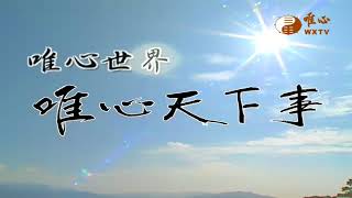 恭讚王禪老祖天威【唯心天下事2484】| WXTV唯心電視台