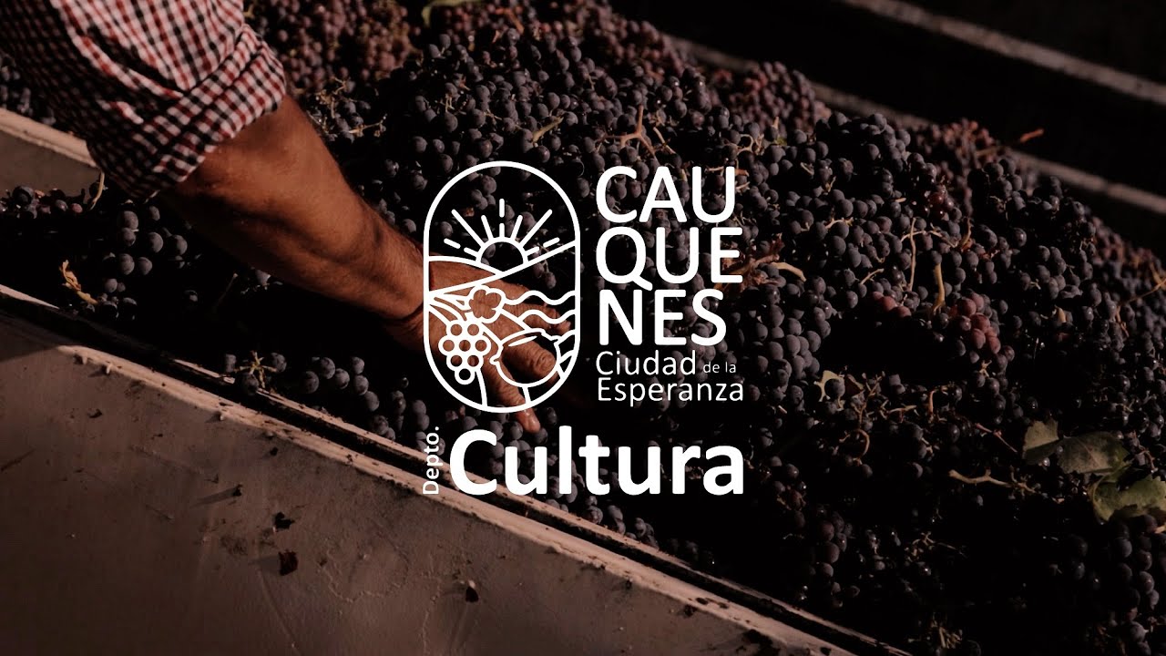 CAUQUENES. Patrimonio Cultural. Vinos.