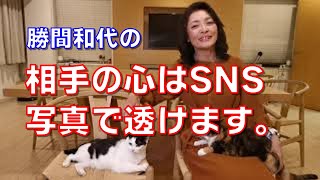 相手の心はSNS写真で透けます。SNSにアップされた写真を見ると、その人が無意識に何を一番大事にしているのか、すべてバレてしまいます。