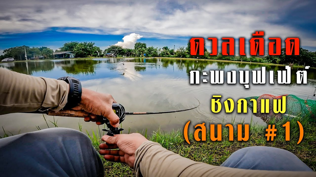 มินิเกม..กะพงบุฟเฟ่ต์..ชิงกาแฟสด..[ สนาม #1 ] ความสุขสายตกกะพงบ่อ