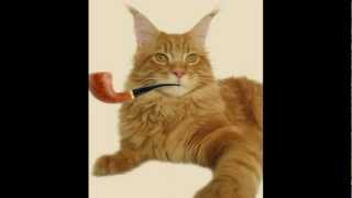 Opowiem Ci Bajke Jak Kot Palil Fajke screenshot 3