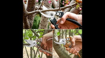 Garden Pruning Shears Tree Trimmers Secateurs Hand Pruner Clippers