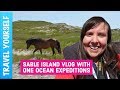 Sable island vlog with one ocean expeditions