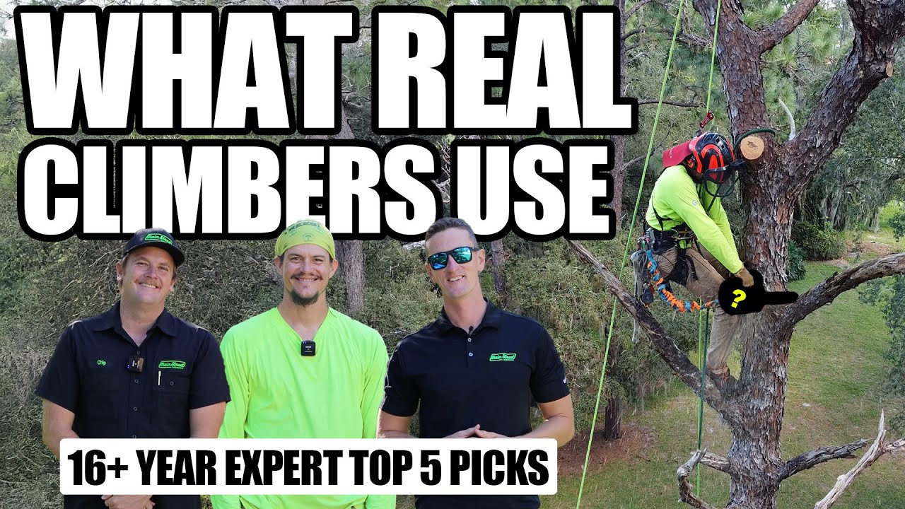 5 лучших инструментов, которые нужны каждому арбористу! Основы лазанья по деревьям 🌳