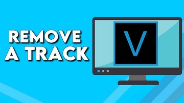 How To Delete And Remove a Track on Sony Vegas Pro Tutorial For Begginers