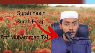 Surah Yasin | Surah Haaj || Furkan mariym || By Afif Muhammad Taj