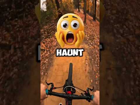 What They Discovered Is Unreal Shorts