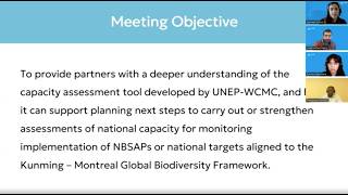 Assessing Capacity for NBSAP Monitoring: Introducing a Practical Tool