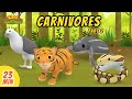 Carnivores Minisode Compilation (Part 2/6) - Leo the Wildlife Ranger | Animation | For Kids | Family