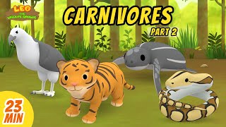 Carnivores Minisode Compilation (Part 2/6)  Leo the Wildlife Ranger | Animation | For Kids | Family