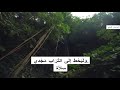 مزمور 7 ي ا ر ب إ ل ه ي ع ل ي ك ت و ك ل ت خ ل ص ن ي