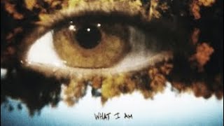 ZAYN  What i Am (lyrics video)