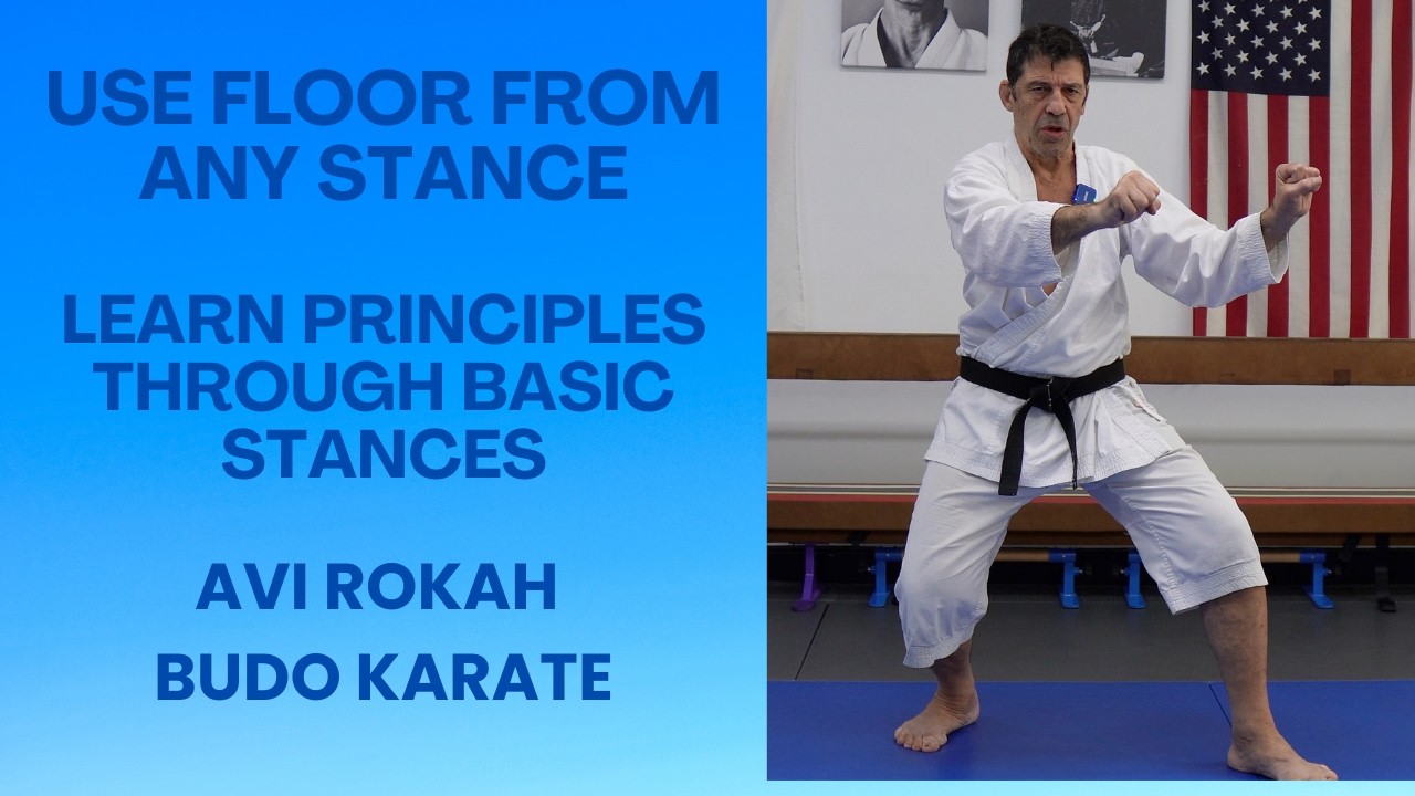 Use floor from any stance, principles are learned through basic stance ...