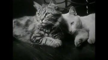 Exit-13 Featuring Bliss Blood - When I Get Low, I Get High