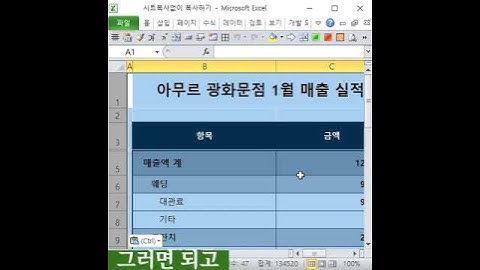 시트복사없이 새 시트에복사, 인쇄 페이지 설정도 복사          #shorts
