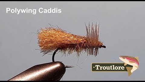Poly Wing Caddis Dry Fly Pattern - Troutlore Fly Tyng