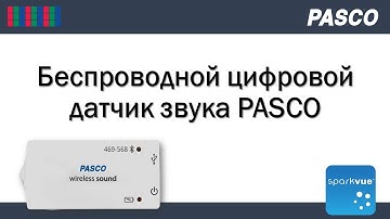 Беспроводной цифровой датчик звука PASCO