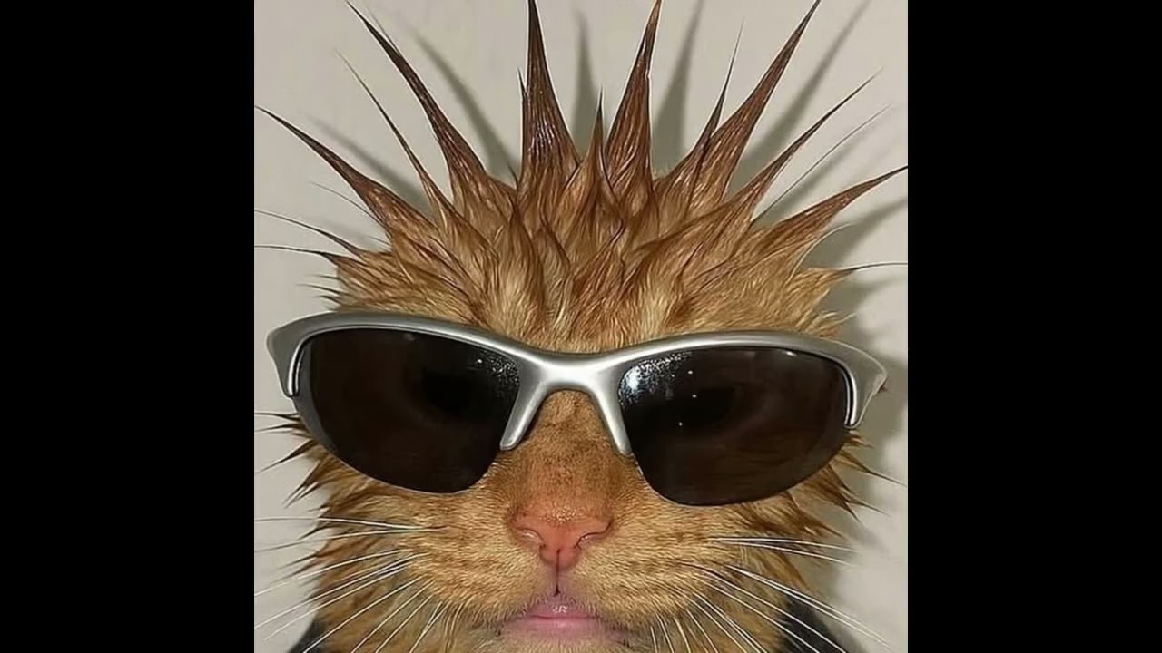 tisakorean type beat "wacky" prod. tapwater!