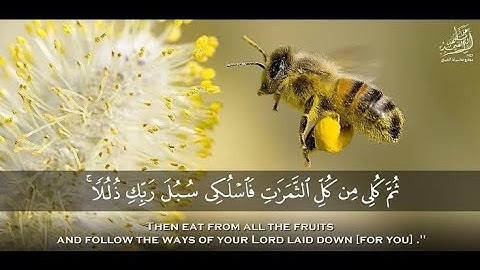 « وأوحى ربك إلى النحل » سبحان من خلق فأبدع .. تلاوة خاشعة من سورة النحل عبد الرزاق دعاس