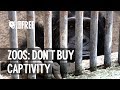 Zoos dont buy captivity