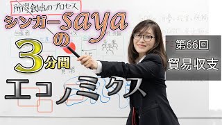 シンガーsayaの３分間エコノミクス【第66回　 貿易収支】