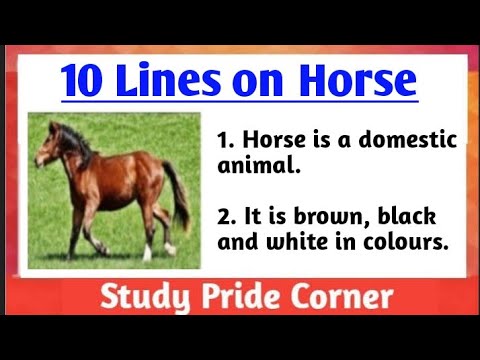 10 Lines on