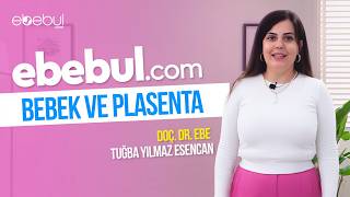 Anne Karnındaki Mucize: Bebek & Plasenta Gebelik Bilgileri + Ebe Desteği
