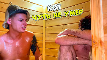 ЗАКРЫЛИ КОТА В БАНЕ😱