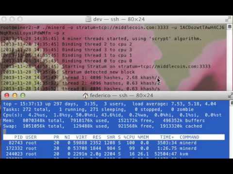 Come usare screen su linux via SSH?