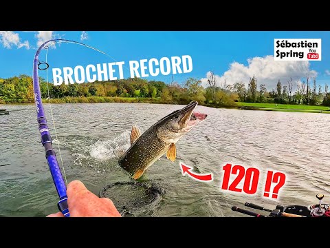 I'm fishing for a GIANT PIKE with my FETISH lure!!!