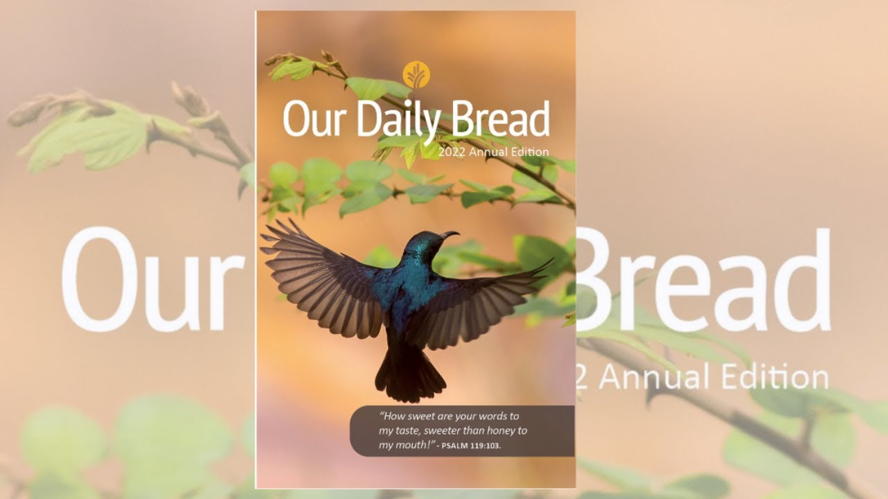 Our Daily Bread Annual Edition 2022 Daily Devotion Christian books