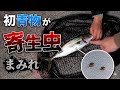 【青物開幕!?】初物が衝撃の結末に…【福島県いわき市】