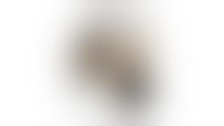 MFP - Genic Dalam Media