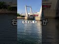現在北東の風、西側がおすすめ！ fishing max武庫川店