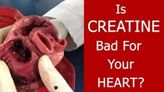 Is Creatine Bad for Your Heart? [6 Reasons Why We Know It&#39;s Not!]