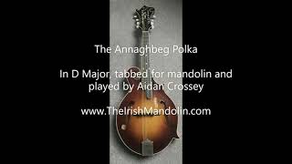 The Annaghbeg Polka - in D Major, tabbed for mandolin and played by Aidan Crossey