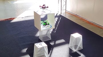 Portable Laser Automatic Local Navigation System