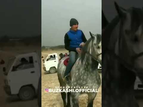 Бузкаши 2022 ана