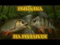 ЛОВИМ ТАМ ГДЕ РЫБЫ НЕТ | РЫБАЛКА НА ГОЛАВЛЯ В ГОРОДЕ